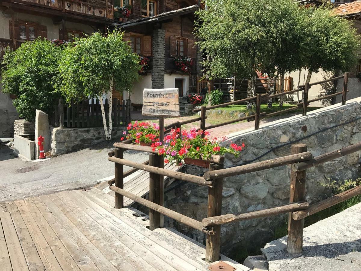 Bellavista Cogne Apartment Zewnętrze zdjęcie